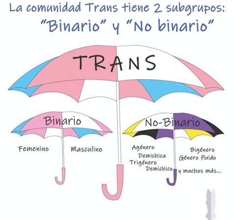 transexuale|Las personas trans y la identidad de género